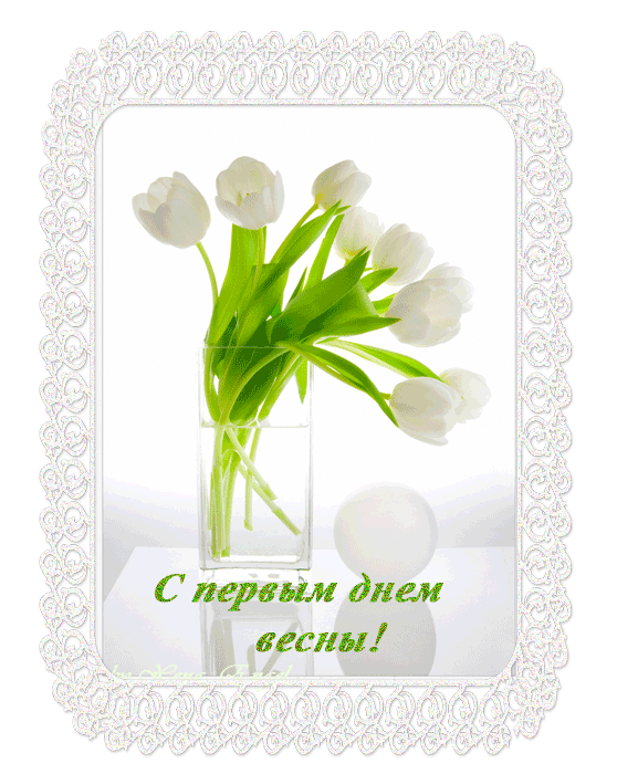С первым весенним днем! Белые тюльпаны