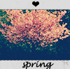 Весна, розовое дерево