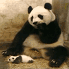  <b>Панда</b> с малышом 