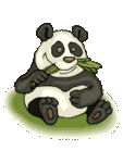 Панда ест траву и гладит свой живот