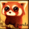  Рредкий <b>вид</b> - рыжая панда 