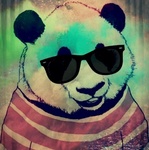 Панда приодета и очках