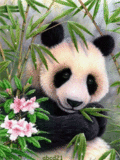 Панда в цветах
