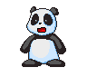 Панда любимец