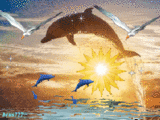  На фоне заходящего <b>солнца</b> резвятся дельфины 