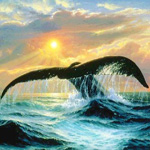  Хвост <b>кита</b> над морем 
