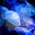Светящиеся голубые медузы под водой
