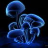 Синие грибы