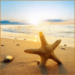 Морская звезда на берегу
