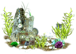  <b>Водоросли</b> и кораллы на дне моря 
