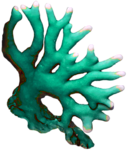 Зеленые кораллы