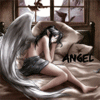  Angel (<b>одинокий</b> парень) 