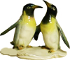 Разговор двух пингвинов