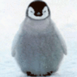 Пингвин на фоне снега