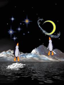 Ночь. Пингвинчики пытаются допрыгнуть до звезд