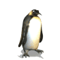  <b>Пингвин</b> 