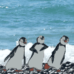 Пингвины танцуют на берегу моря
