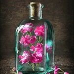  <b>Розовые</b> цветы в баночке 