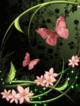 Розовые цветы и бабочка среди зелени