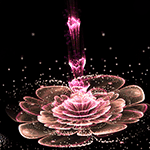 Розовый фрактальный цветок на черном фоне