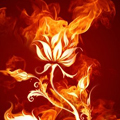 Огненный цветок 2