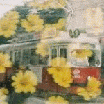  <b>Дождь</b>, трамвай, жёлтые цветы-городской пейзаж 