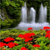 Цветы и водопад