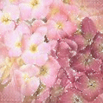 Шапка розовых цветов