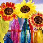 Цветы в разноцветных бутылках