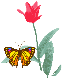 Тюльпан с бабочкой