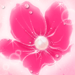 Красивый,розовый цветок