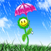 Цветочек под зонтиком во время дождя
