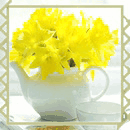 Жёлтые цветы в чайнике