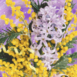 Букет весенних цветов-мимоза и гиацинт