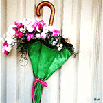 Зеленый зонтик с разными тюльпанами подвешен на дверной р...