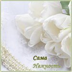  Белые тюльпаны и бусы из жемчуга лежат на кружевной <b>скате</b>... 