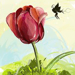 Маленькая фея кружит над тюльпаном
