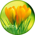 Тюльпаны (spring)