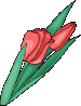 Нарисованные тюльпаны