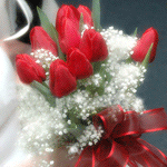 Букет тюльпанов с очаровательными белыми цветочками