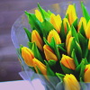 Желтые тюльпаны упакованы в сеточку