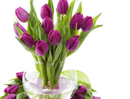 Тюльпаны к 8 марта в вазе