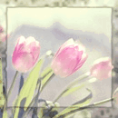 Три розовых тюльпана