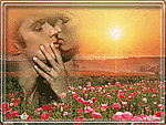 Поцелуй влюблённых на фоне поля тюльпанов и яркого солнца