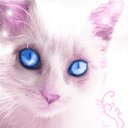 Кошечка с голубыми глазами