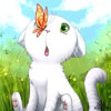 Белый котенок растерян. на его носу сидит бабочка