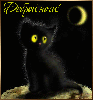  Доброй <b>ночи</b>! Черный котенок 