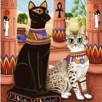 Котики в Египте