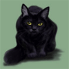 Черный кот (16)