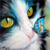  На носу <b>большеглазого</b> котенка сидит бабочка 